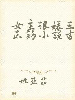 女主很婊三观不正的小说古代封面