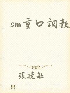 sm重口调教文封面