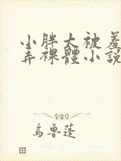 小胖太被羞耻玩弄裸体小说