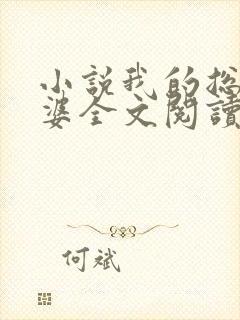 小说我的总裁老婆全文阅读