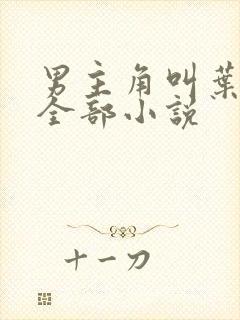 男主角叫叶辰的全部小说封面