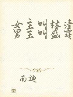 女主叫林清妍,男主叫盛霆的小说