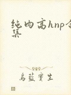 纯肉高hnp合集
