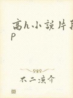 高h小说片段np
