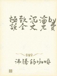 极致沉沦by小说全文免费阅读