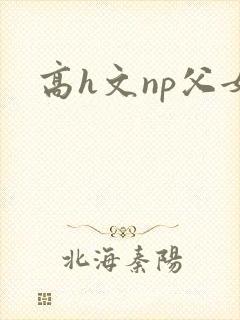 高h文np父女