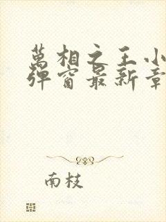 万相之王小说无弹窗最新章节