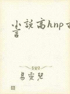 小说高hnp古言