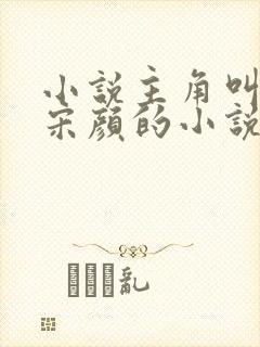 小说主角叫楚尘宋颜的小说