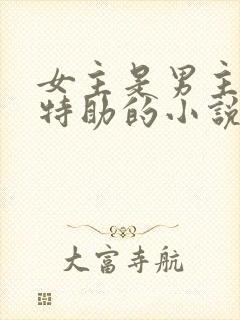 女主是男主首席特助的小说