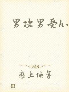 男攻男受h小说
