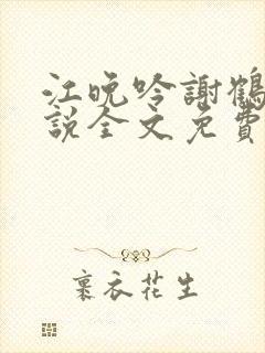 江晚吟谢鹤鸣小说全文免费阅读封面