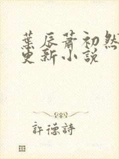 叶辰萧初然最快更新小说