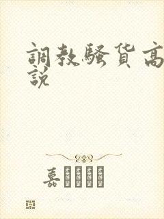 调教骚货高h小说