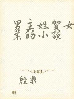 男主姓贺女主姓叶的小说