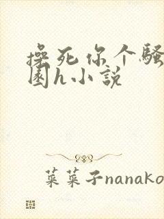 操死你个骚货校园h小说