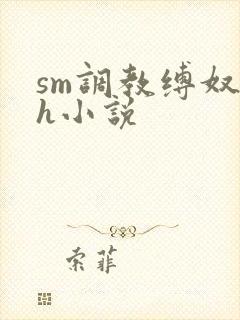 sm调教缚奴高h小说