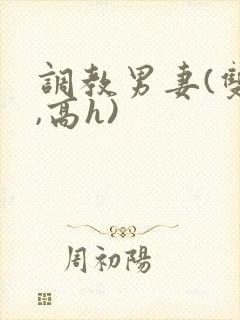 调教男妻(双性,高h)