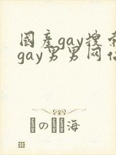 国产gay搜索gay男男网站