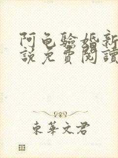 阿龟验婚新娘小说免费阅读无弹窗封面