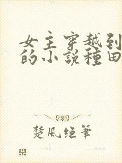 女主穿越到古代的小说种田文