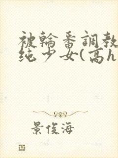 被轮番调教的清纯少女(高h