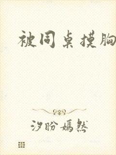 被同桌摸胸小说