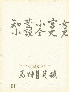 知莹小宫女楚渊小说全文免费阅读