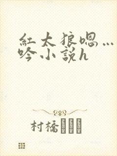 红太狼嗯…啊呻吟小说h