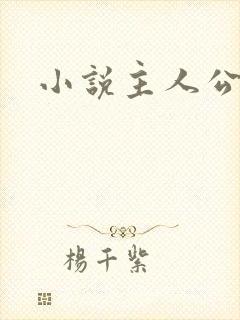 小说主人公杨洛