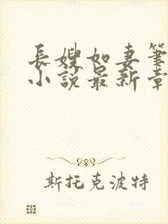 长嫂如妻笔趣阁小说最新章节封面