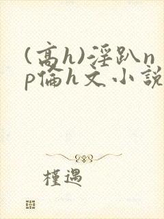 (高h)淫趴np伦h文小说