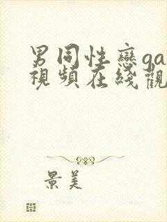 男同性恋gay视频在线观看
