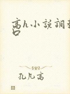 高h小说调教重口封面