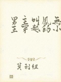 男主叫凤无殇女主穿越的小说