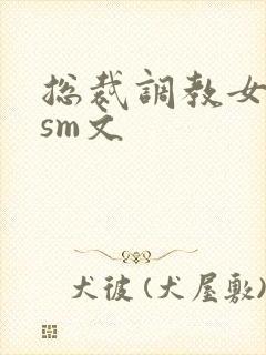 总裁调教女主奴sm文