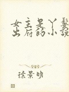 女主是丫鬟赎身出府的小说封面