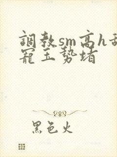 调教sm高h甜宠玉势堵