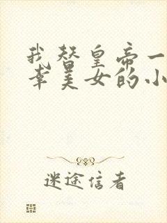 我替皇帝一边临幸美女的小说名字