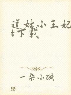 道姑小王妃txt下载