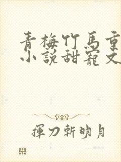 青梅竹马重逢的小说甜宠文封面