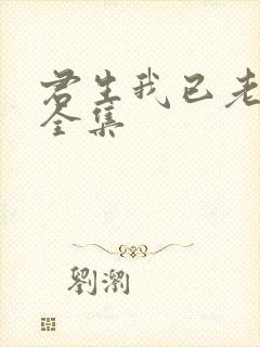 君生我已老短剧全集