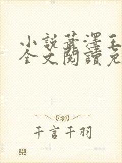 小说萧泽王雪凤全文阅读免费