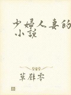 少妇人妻的欲望 小说封面