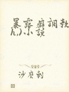 暴露癖调教(高h,)小说