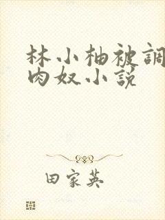 林小柚被调教成肉奴小说