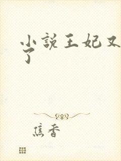 小说王妃又劫色了