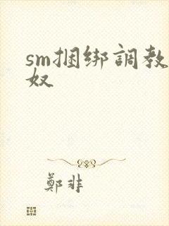 sm捆绑调教男奴