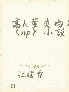 高h荤爽肉欲文〈np〉小说