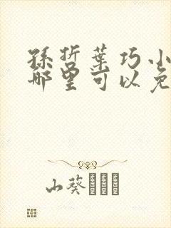 孙哲叶巧小说在哪里可以免费阅读